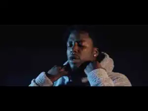 Video: ALLBLACK - Canadian Goose